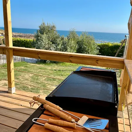 Pailletes 12p - Face * Les Sables-dʼOlonne