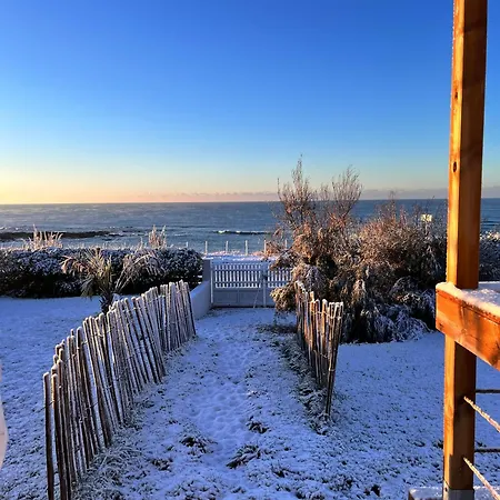 Pailletes 12p - Face Casa de Férias *