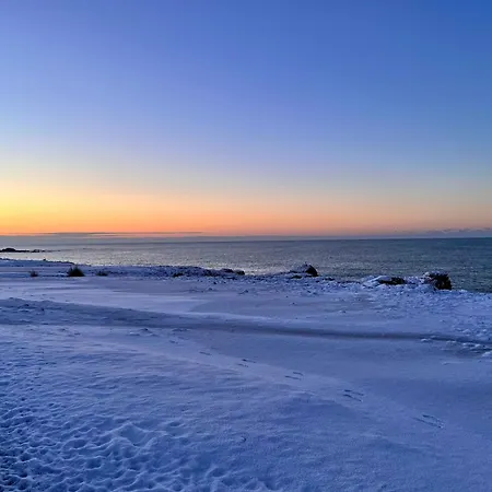 Pailletés 12p - Face Les Sables-dʼOlonne