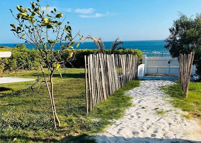 Pailletes 12p - Face *